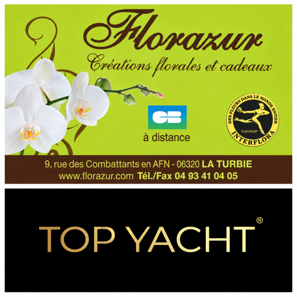 Sponsor logo